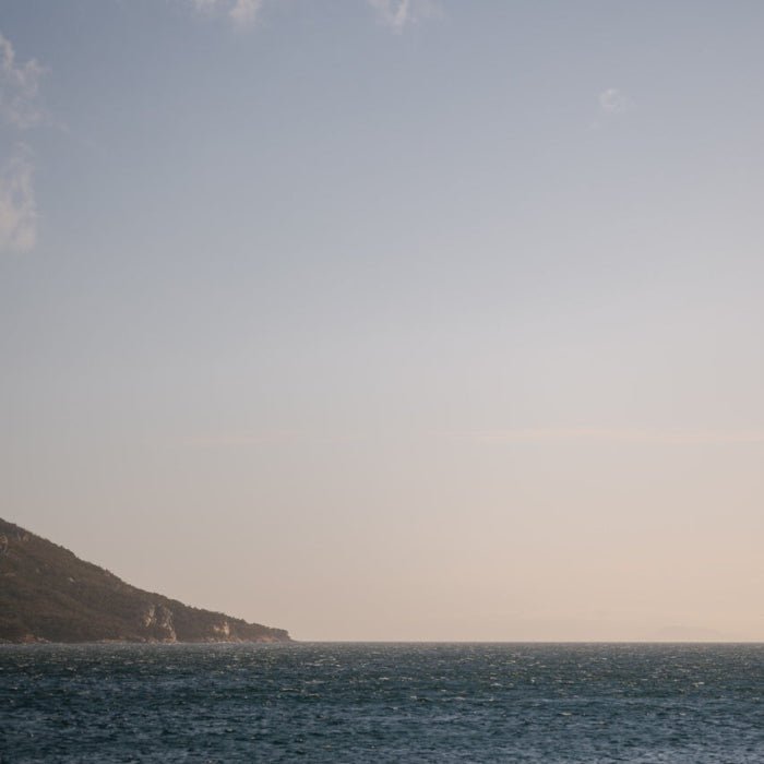 Paperback Perfumes: pairing fragrance and books - Liminus