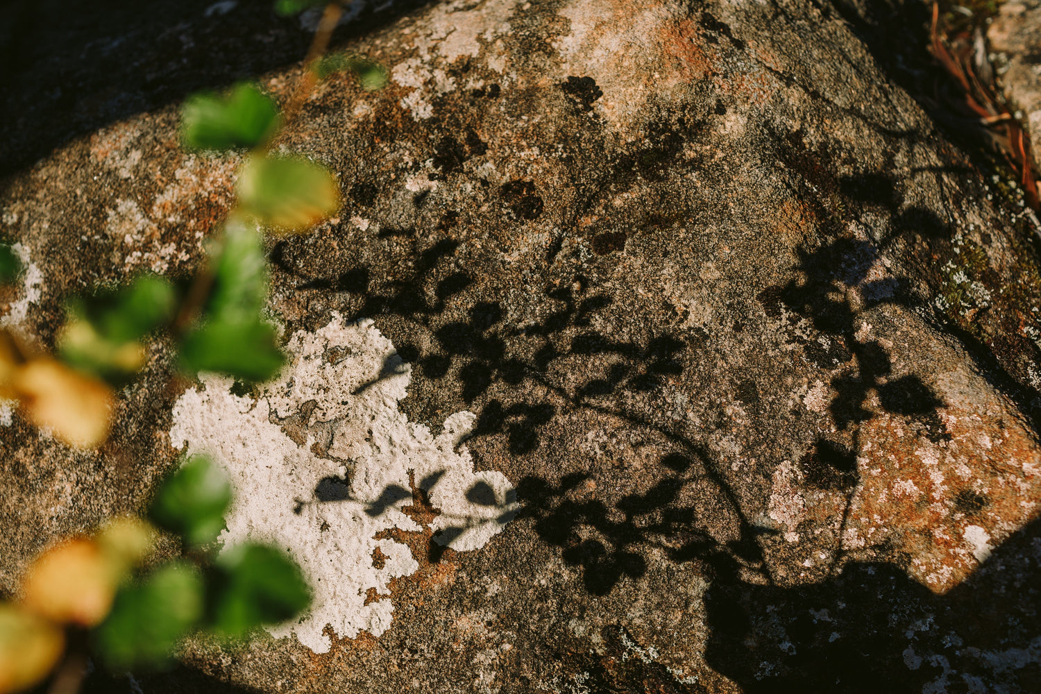 Four Season Range - Liminus