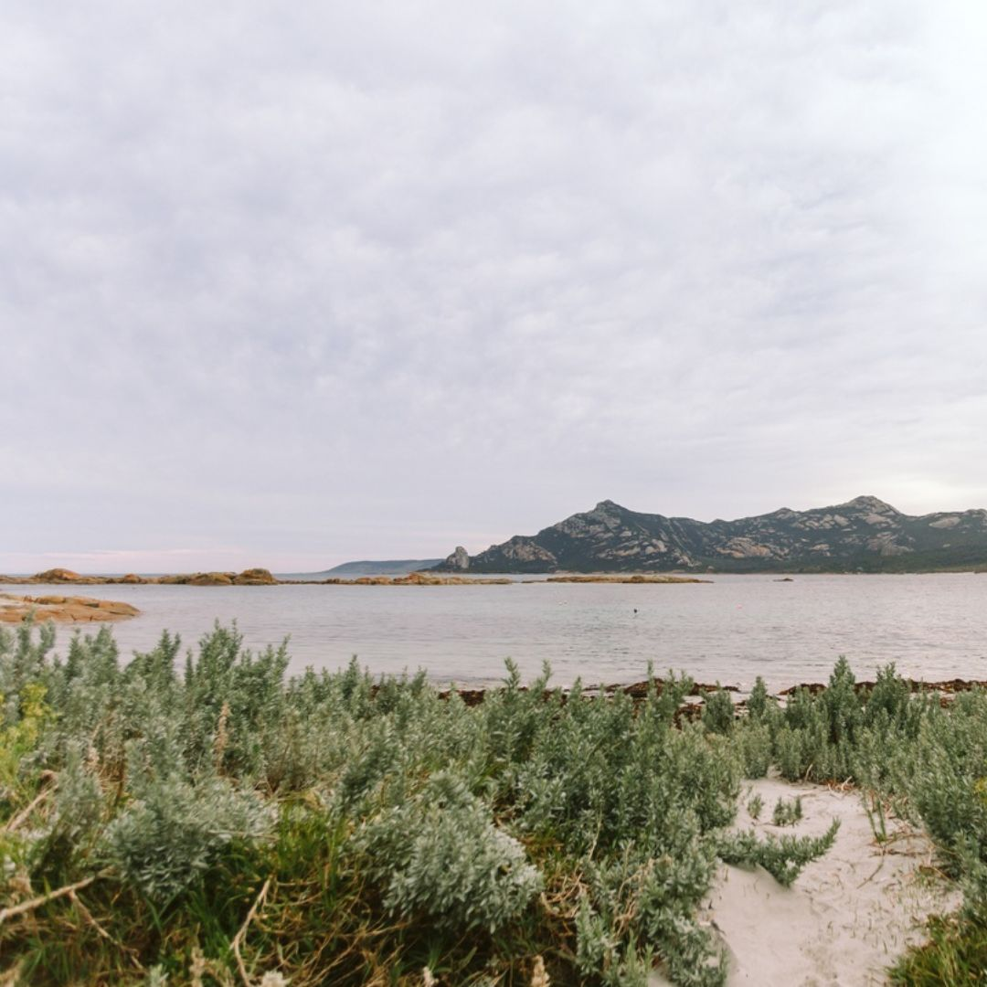 Flinders island coastal view with sand and sea