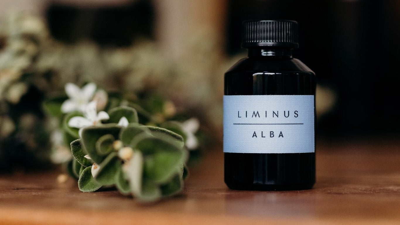Alba Tasmanian natural perfume refill - Liminus