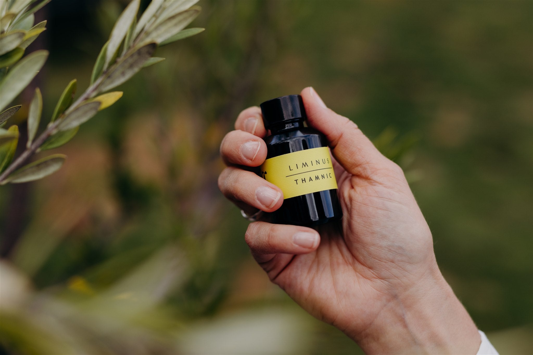 Thamnic natural perfume - Liminus