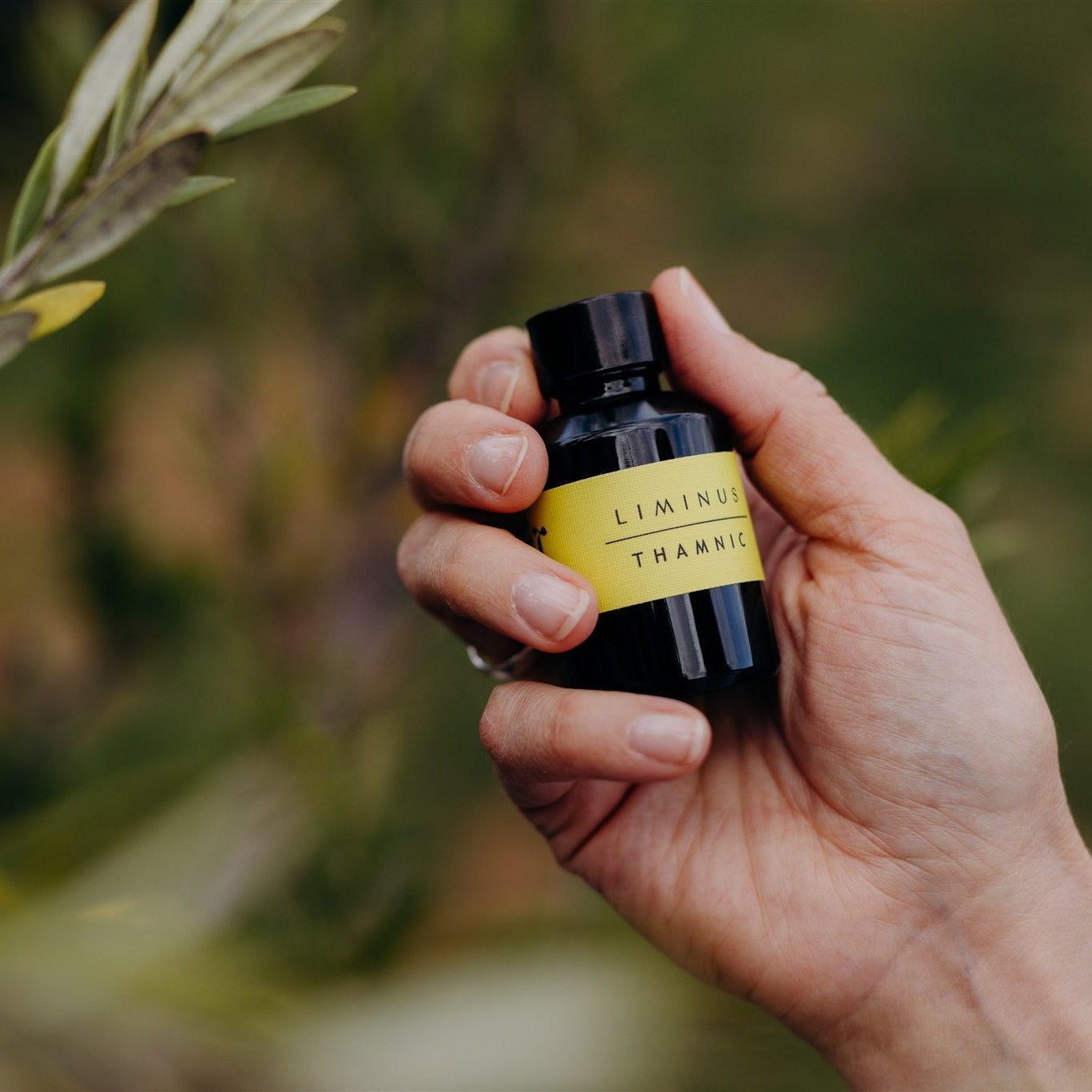 Thamnic natural perfume refill bottle - Liminus, held by a hand.  Credit Jess Oakenfull