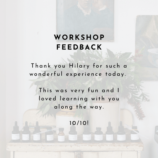 Workshop review Liminus